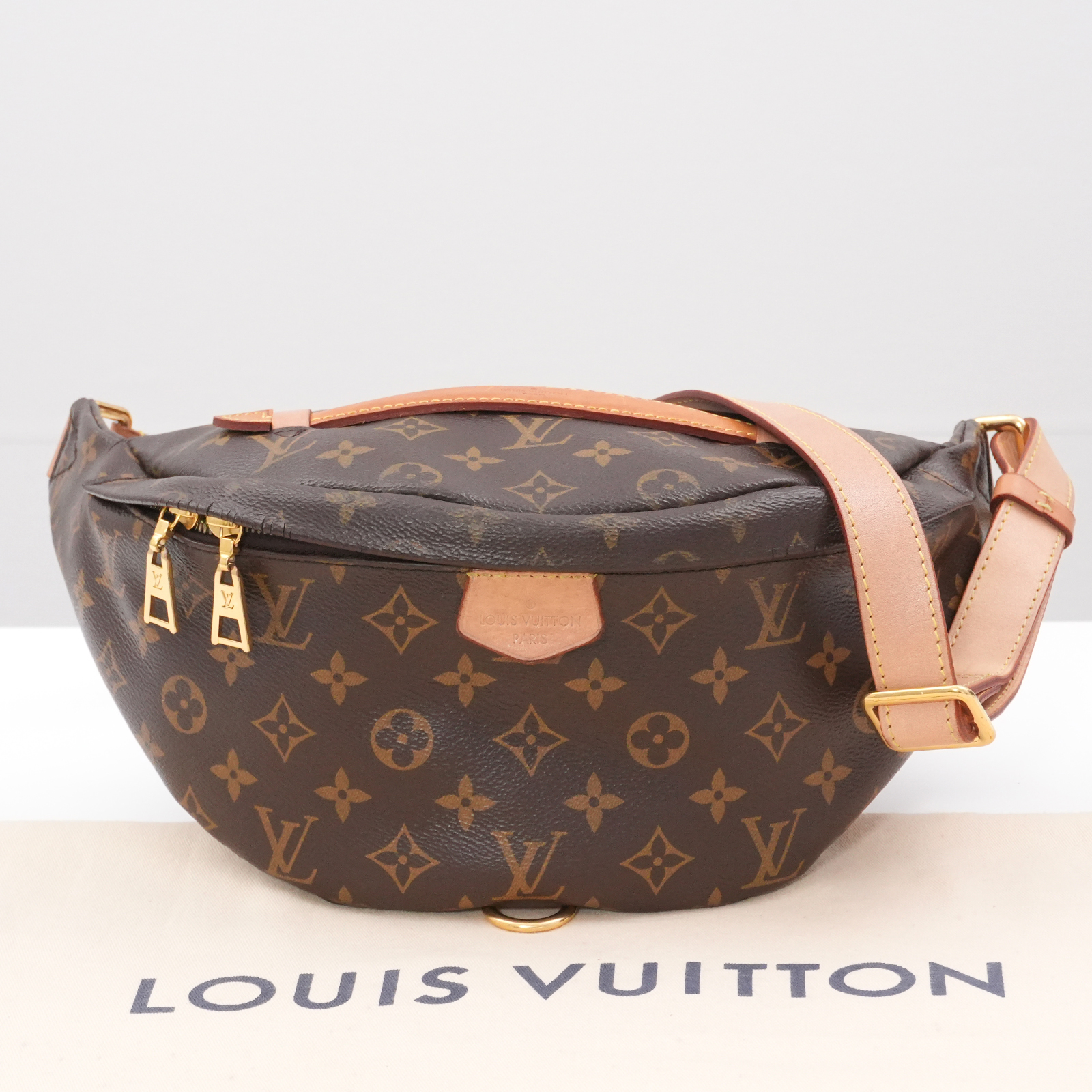 Louis Vuitton レザー バッグ DSC03877.jpg